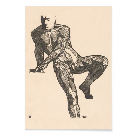 Detailed anatomical drawing of human chest muscles by Reijer Stolk showing a seated male figure poster artwork, with black aluminium frame on white background