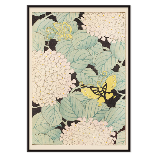 Yellow butterflies and white hydrangea flowers with green leaves in Japanese art style artwork Bijutsukai Pl 169 by Korin Furuya, with black aluminium frame on white background