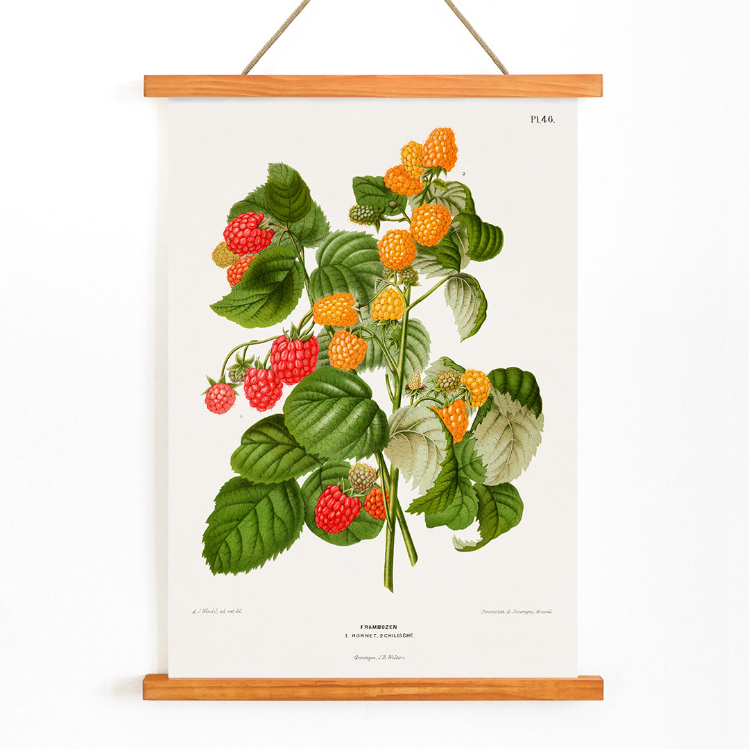 , with wooden magnetic frame on white background