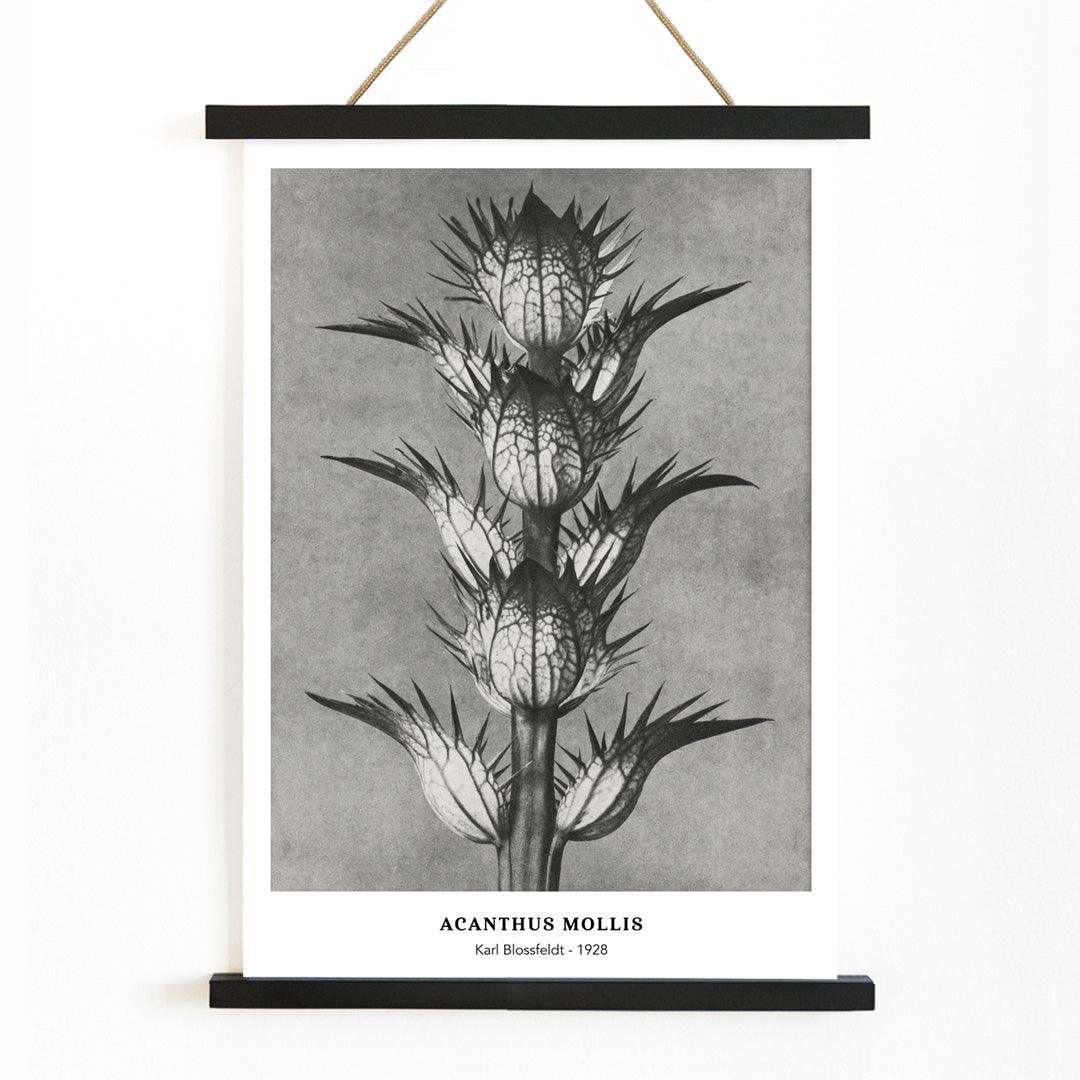 , with wooden magnetic frame on white background