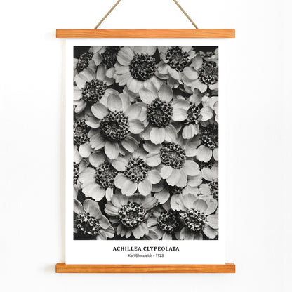 , with wooden magnetic frame on white background