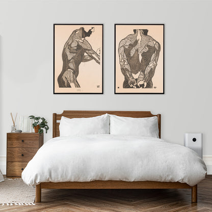 Anatomical poster of mans side and arm showing detailed muscle structure artwork by Reijer Stolk, framed and displayed in home decor