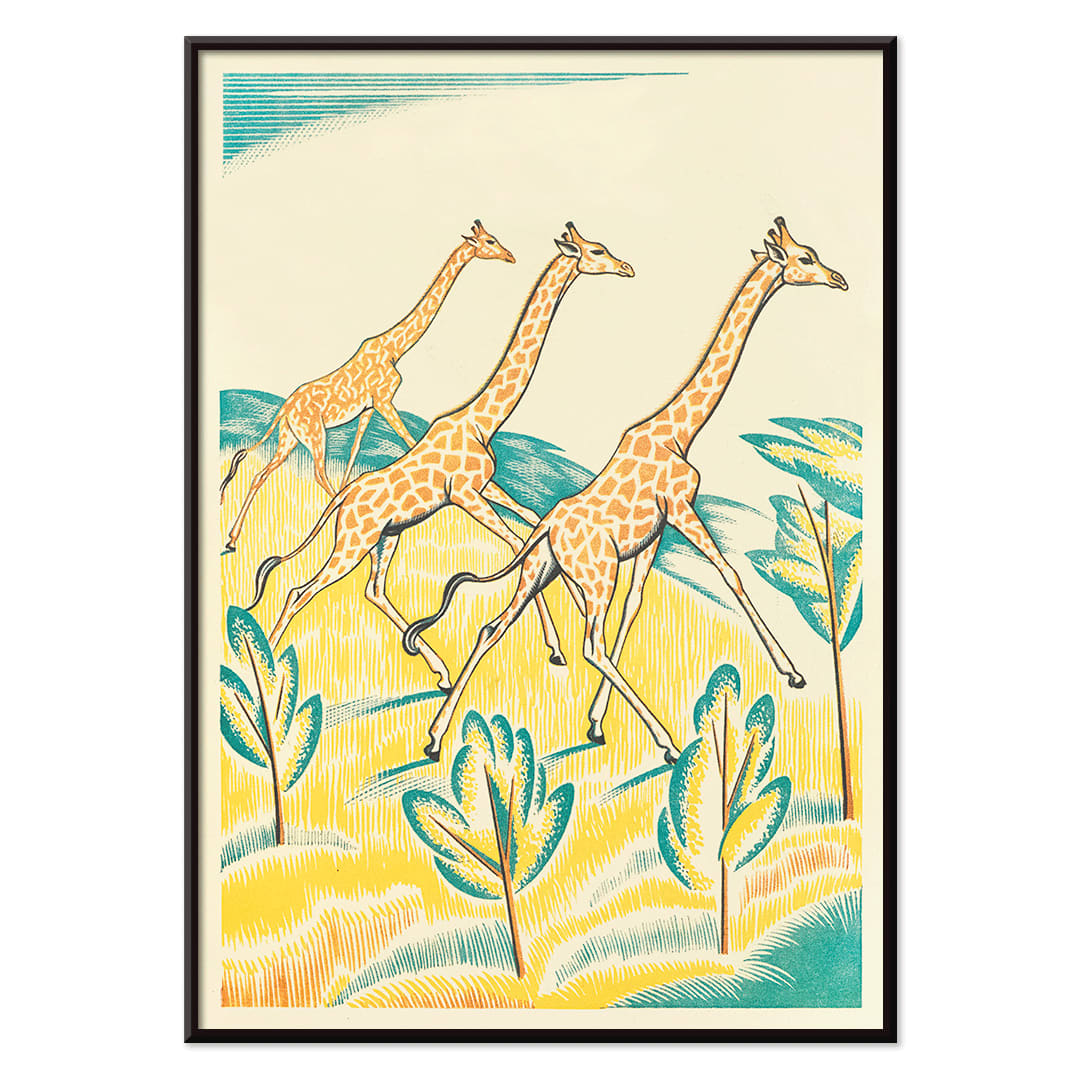 Colorful jungle artwork with three giraffes by Clifford Webb titled A Jungle Picnic Pl.04 Girafe, with black aluminium frame on white background