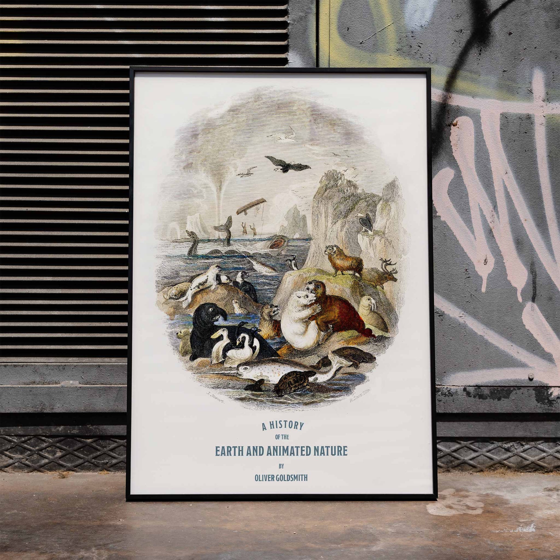 Hand drawn illustration and poster of animals in natural landscape from A history of the earth and animated nature by Oliver Goldsmith featuring sea and land creatures, framed and displayed in modern living room decor