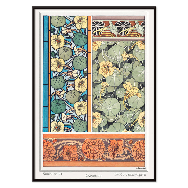 Art Nouveau capucine nasturtium botanical illustration by Maurice Pillard Verneuil from La Plante et ses Applications ornementales, with black aluminium frame on white background