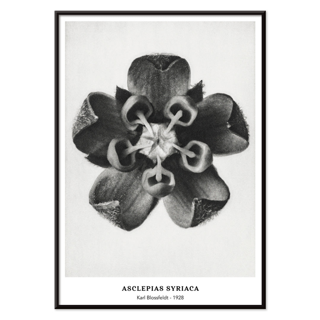 , with black aluminium frame on white background