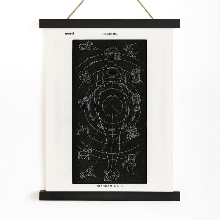 Astrological human body diagram and poster with zodiac signs planets and symbols by Hiram Erastus Butler from Solar Biology, with wooden magnetic frame on white background