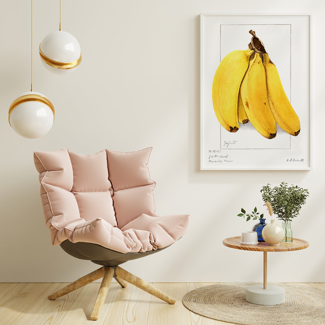 Botanical artwork of ripe yellow bananas Musa by Ellen Isham Schutt realistic illustration and poster suitable for botanical decor, framed and displayed in home decor