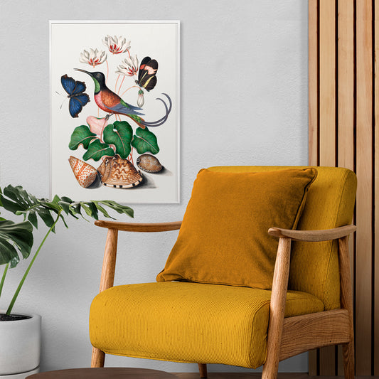 Crimson topaz hummingbird butterflies cyclamen flowers and shells artwork by James Bolton Natural History Cabinet poster, framed and displayed in home decor
