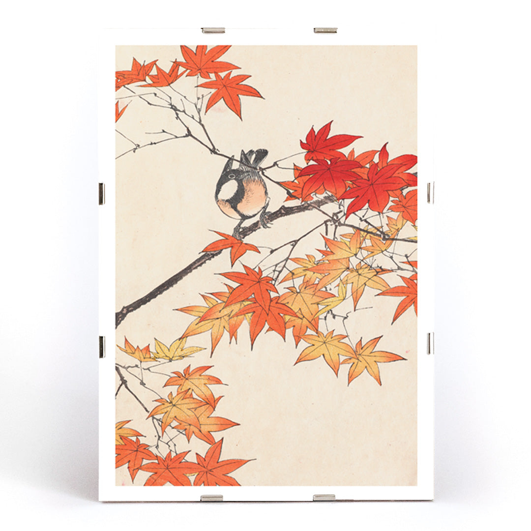 Bird on tree branch with autumn red and orange leaves Keinen kacho gafu by Imao Keinen Japanese art print, framed and displayed in modern living room decor