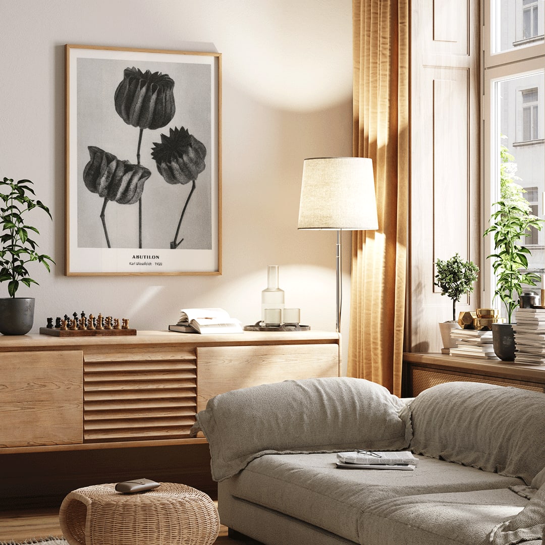 Close up and poster of Abutilon Lime Mallow pods from Urformen der Kunst by Karl Blossfeldt with detailed botanical texture, framed and displayed in home decor