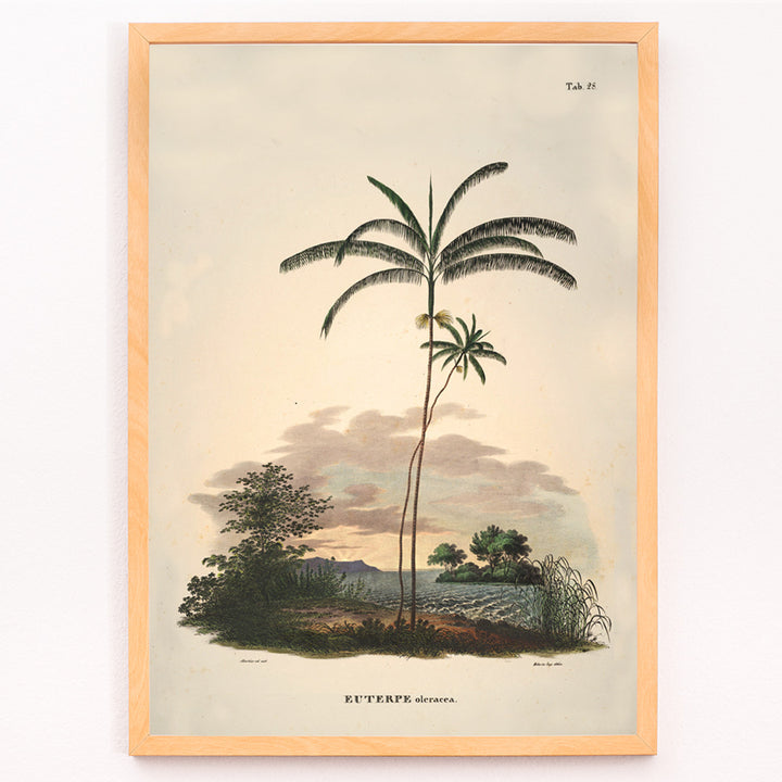 Closeup detail of Euterpe oleracea botanical illustration and palm landscape poster by Carl Friedrich Philipp von Martius from Historia Naturalis Palmarum