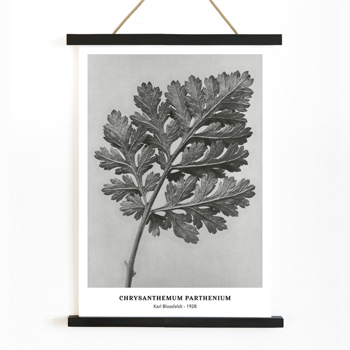 , with wooden magnetic frame on white background