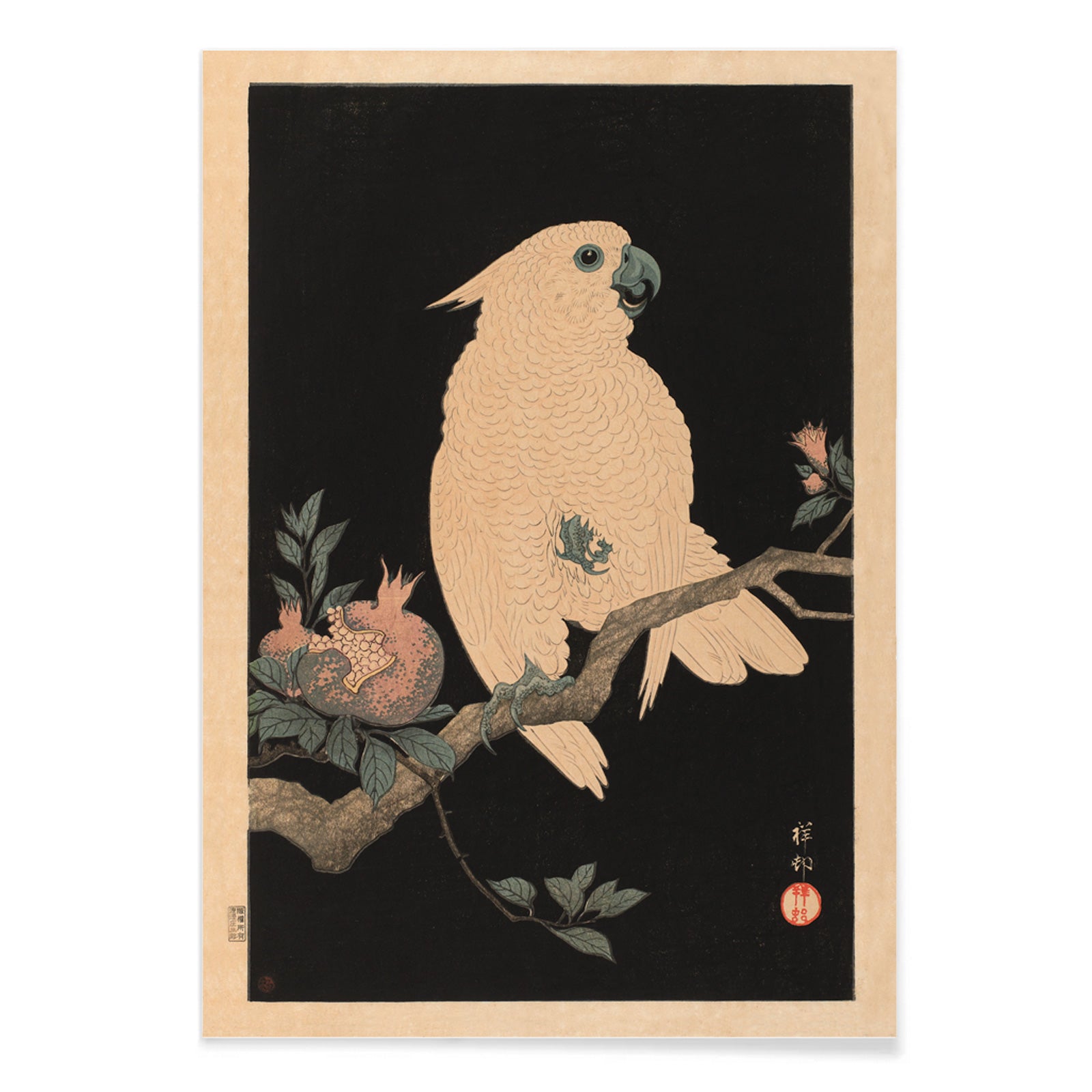 White cockatoo perched on a branch with pomegranate artwork by Ohara Koson poster, with black aluminium frame on white background