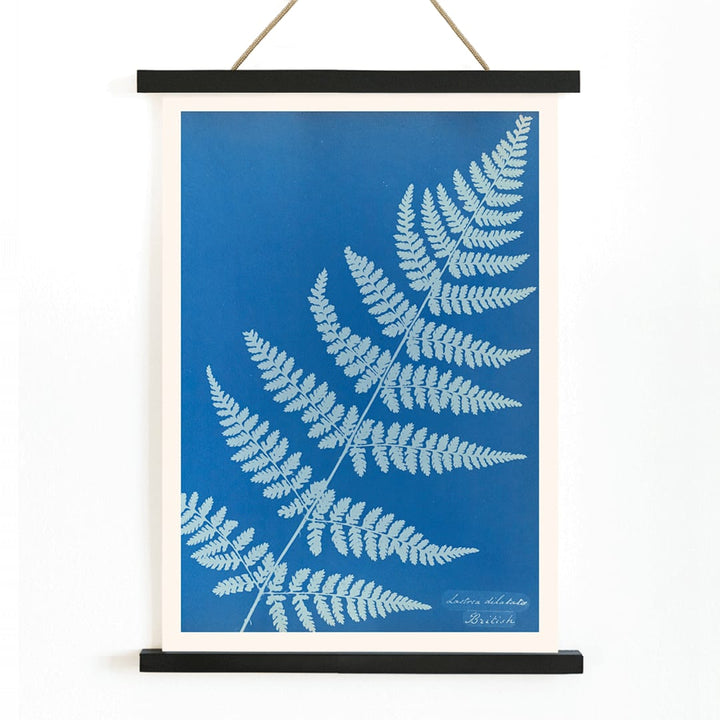 Cyanotype poster of Lastrea dilatato fern artwork by Anna Atkins featuring a blue background, with wooden magnetic frame on white background