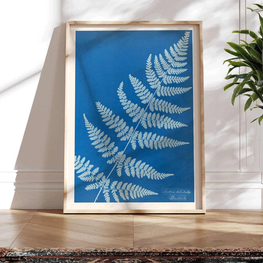 Cyanotype poster of Lastrea dilatato fern artwork by Anna Atkins featuring a blue background, framed and displayed in home decor