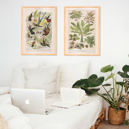 Colorful botanical illustration poster of various tropical foliage plants by Friedrich Arnold Brockhaus, framed and displayed in home decor