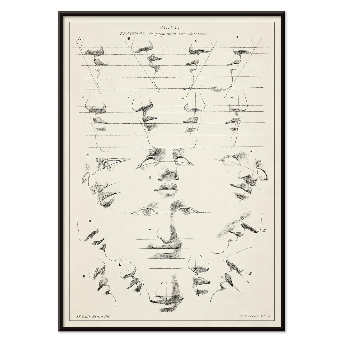 John Rubens Smith human figure drawing study poster with black and white facial feature sketches, with black aluminium frame on white background