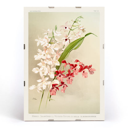 , framed and displayed in modern living room decor