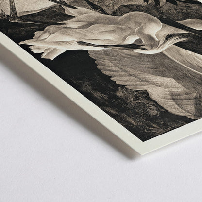 Closeup detail of Egrets and spoonbills in natural setting from Lepelaars artwork by Adriaan van Hoff poster