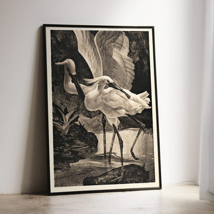 Egrets and spoonbills in natural setting from Lepelaars artwork by Adriaan van Hoff poster, framed and displayed in modern living room decor