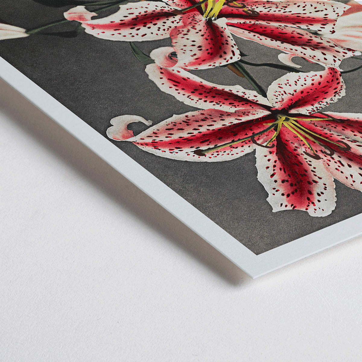 Closeup detail of Hand colored collotype of lily flowers by Kazumasa Ogawa from Some Japanese Flowers poster