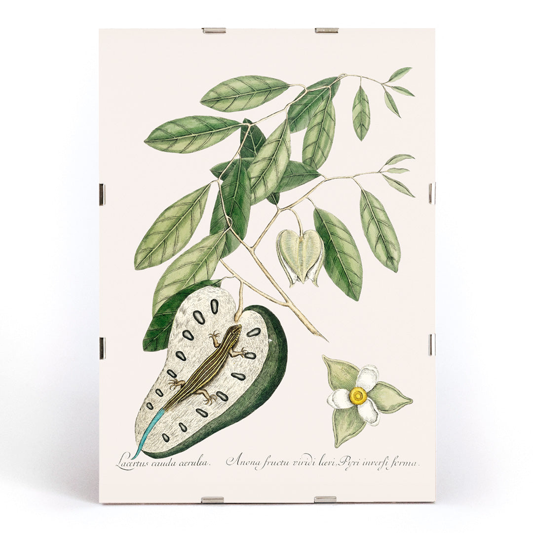 , framed and displayed in modern living room decor