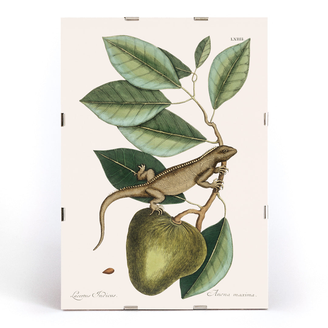 , framed and displayed in modern living room decor