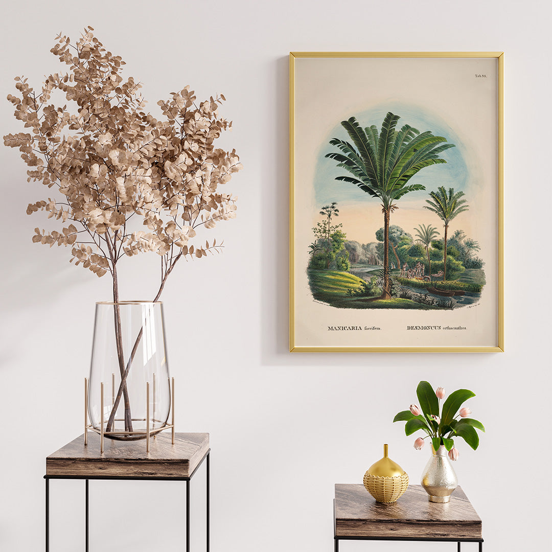 Tropical palm trees and river landscape illustration poster featuring Desmoncus orthacanthos artwork from Historia Naturalis Palmarum by Carl Friedrich Philipp von Martius, framed and displayed in home decor