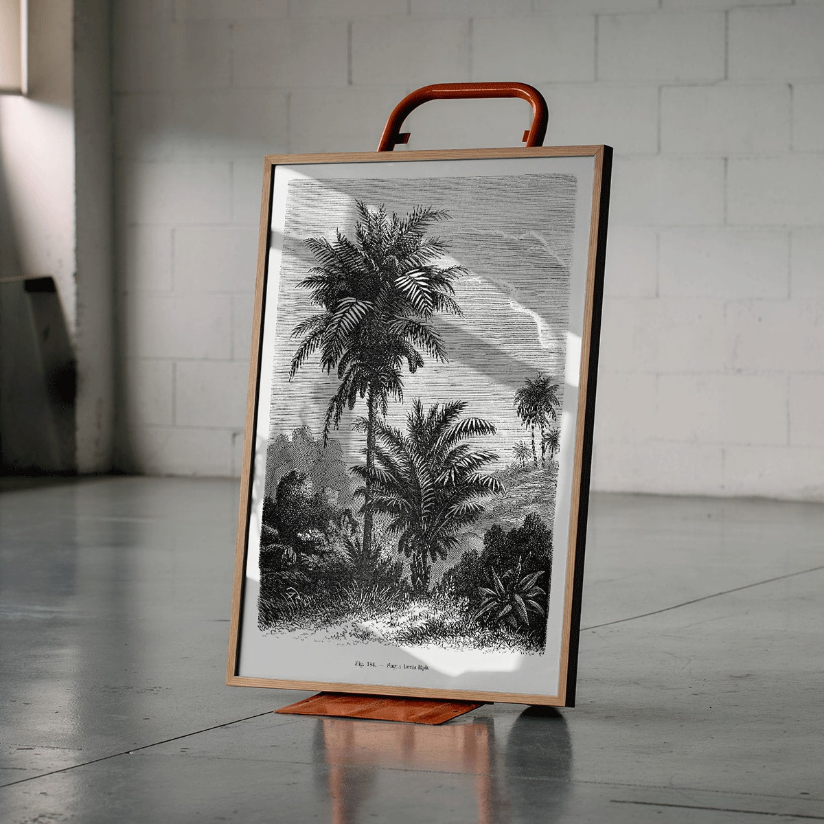 Black and white illustration of palm trees by Oswald de Kerchove de Denterghem from Les Palmiers Histoire Iconographique poster, framed and displayed in modern living room decor