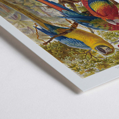 Closeup detail of Colorful parrots in a lush jungle artwork Papageien II by Institut of Leipzig poster for wall decor