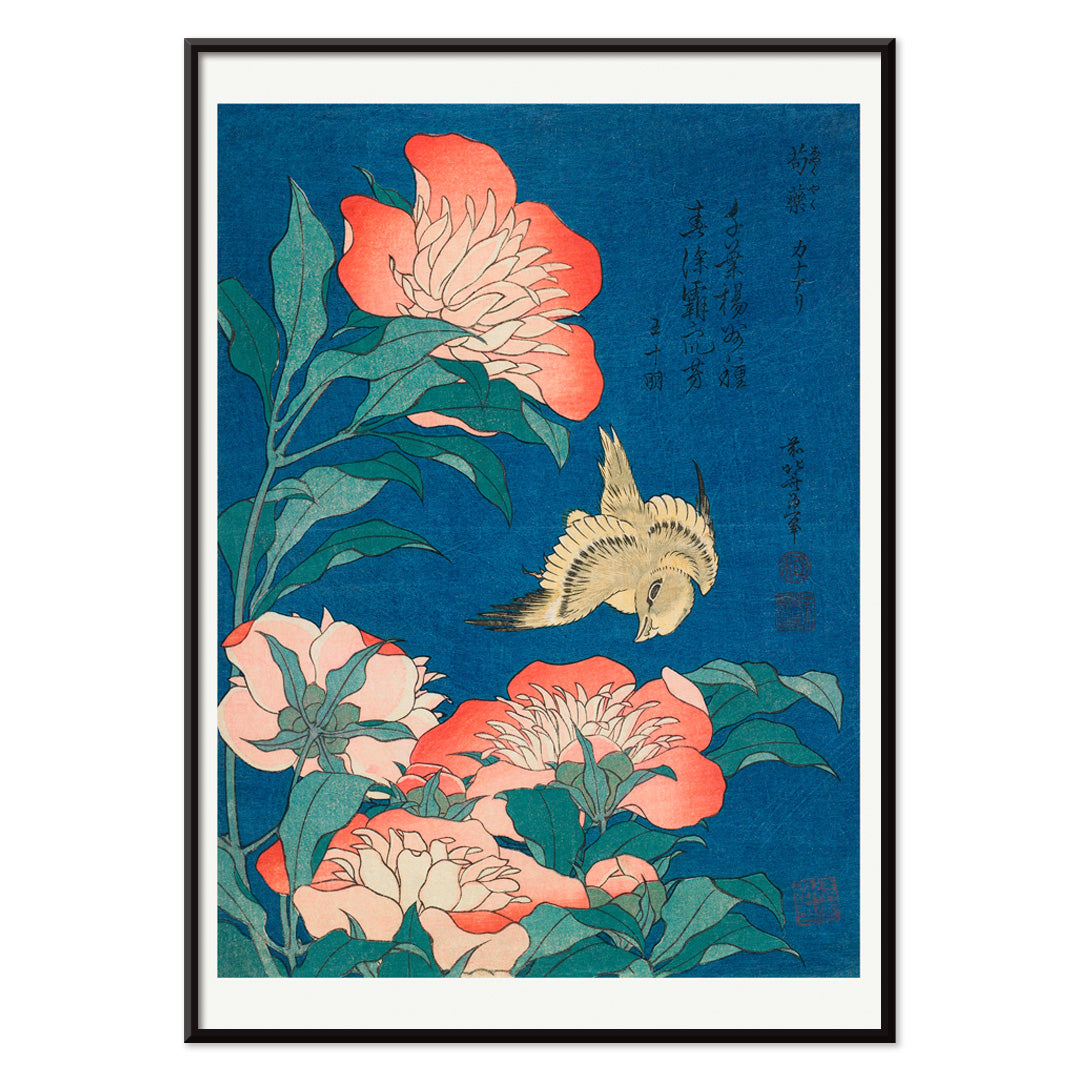 Peonies and canary by Katsushika Hokusai featuring a canary bird among blooming peonies with blue background artwork poster, with black aluminium frame on white background