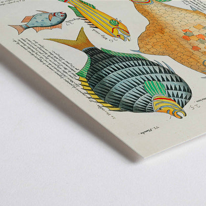 Closeup detail of Colourful surreal fish illustrations by Louis Renard from Histoire naturelle des plus rares curiositez de la mer poster