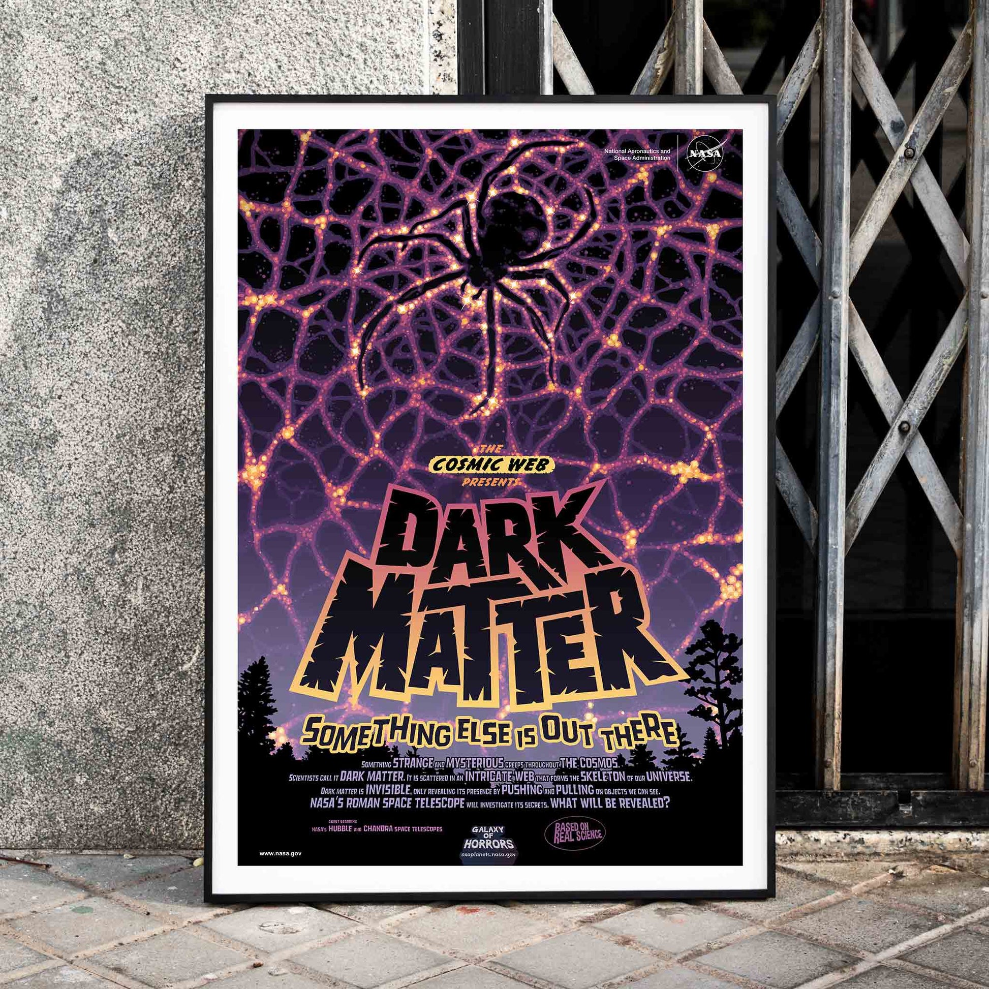 NASA Dark Matter poster featuring a cosmic web and spider silhouette with vibrant colors and text reading Dark Matter Something Else is Out There, framed and displayed in home decor