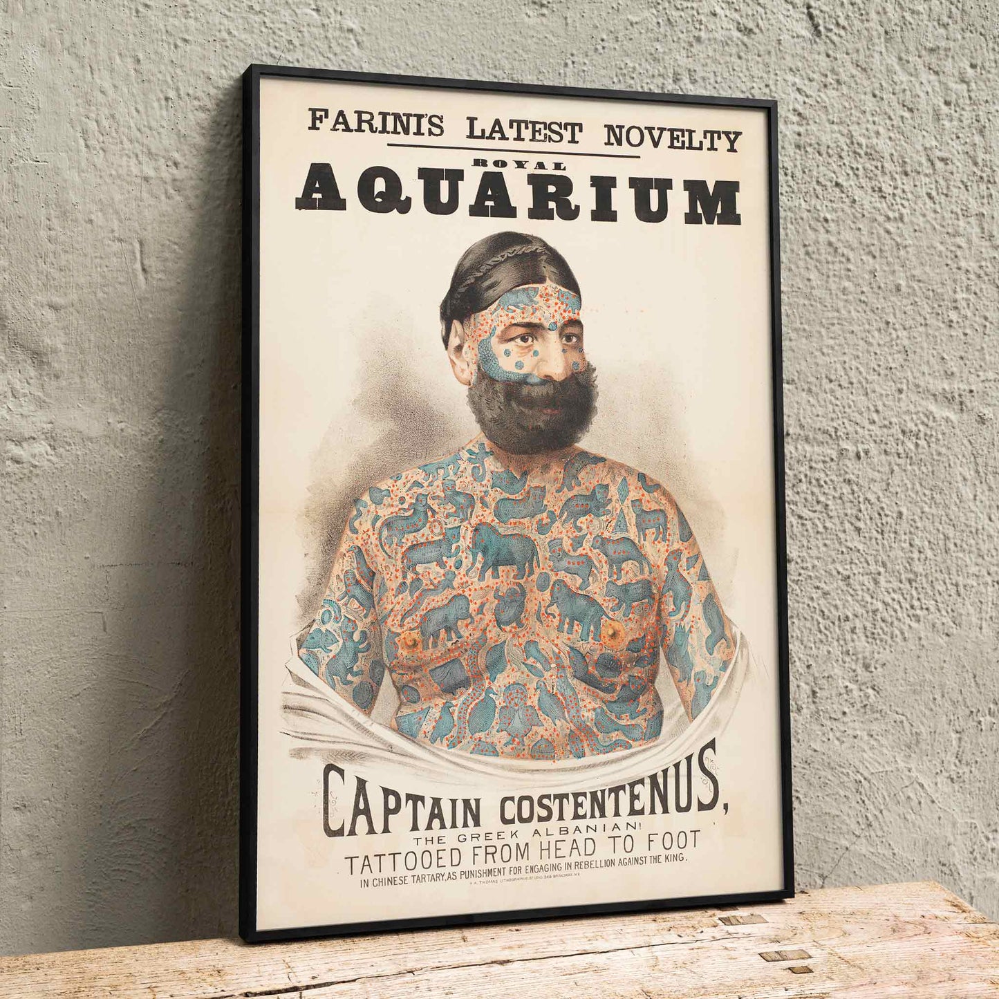 Tattooed man Captain Costentenus the Greek Albanian at The Royal Aquarium vintage poster artwork, framed and displayed in home decor