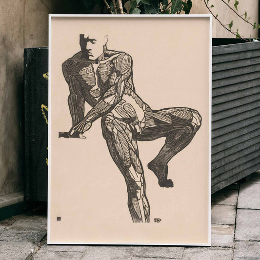 Detailed anatomical drawing of human chest muscles by Reijer Stolk showing a seated male figure poster artwork, framed and displayed in home decor