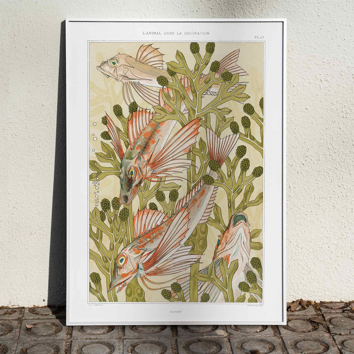 Poster of colorful red mullet fish swimming among green algae titled Red mullet and Algae by Maurice Pillard Verneuil, framed and displayed in home decor