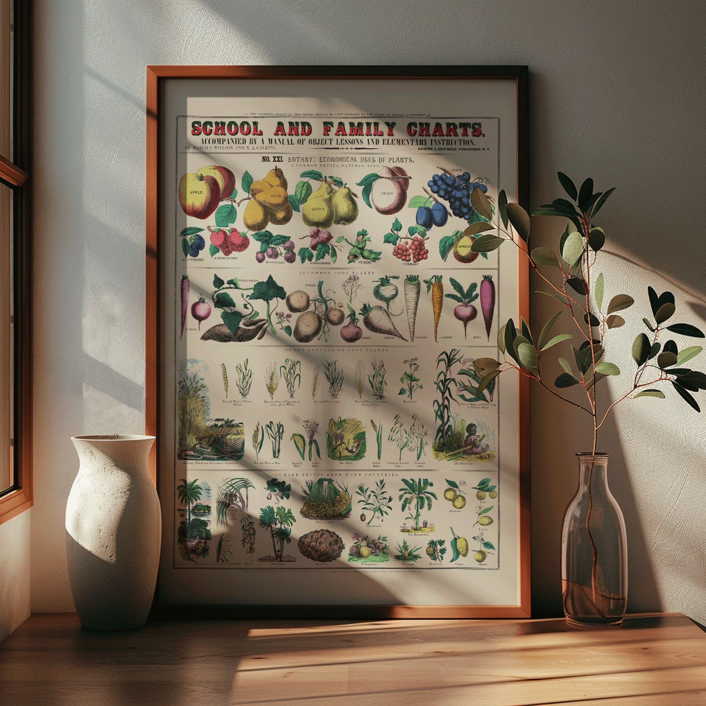 Botanical chart by Marcius Willson showing the economical use of plants with illustrations of fruits vegetables and plants poster, framed and displayed in modern living room decor