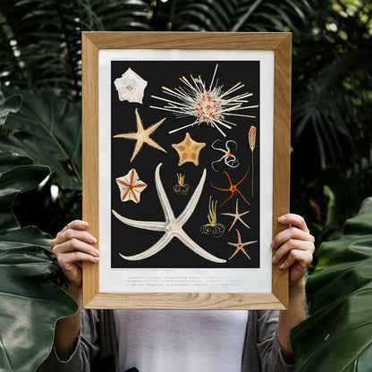 , framed and displayed in home decor