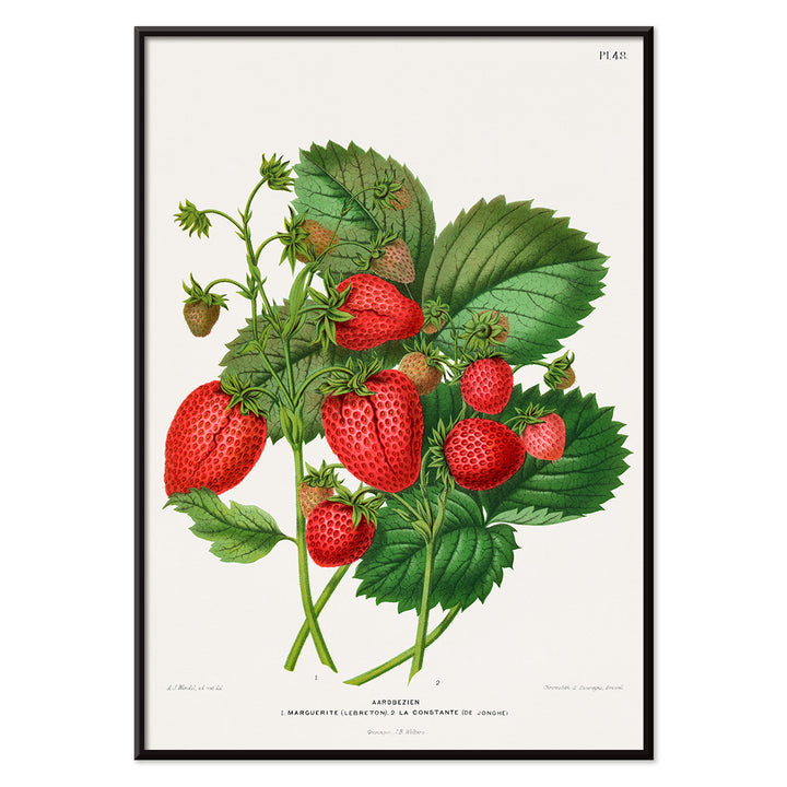 , with black aluminium frame on white background