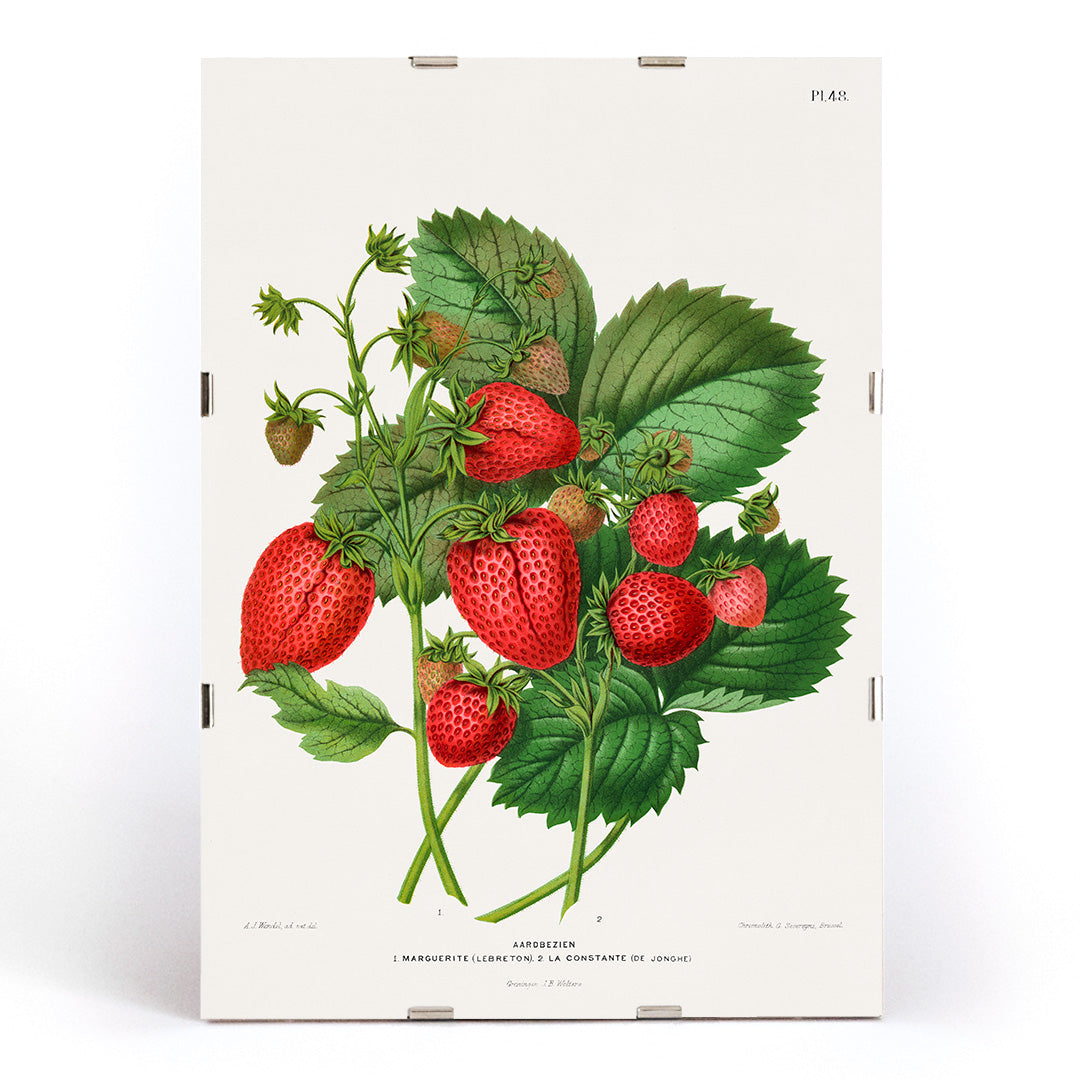 , framed and displayed in modern living room decor