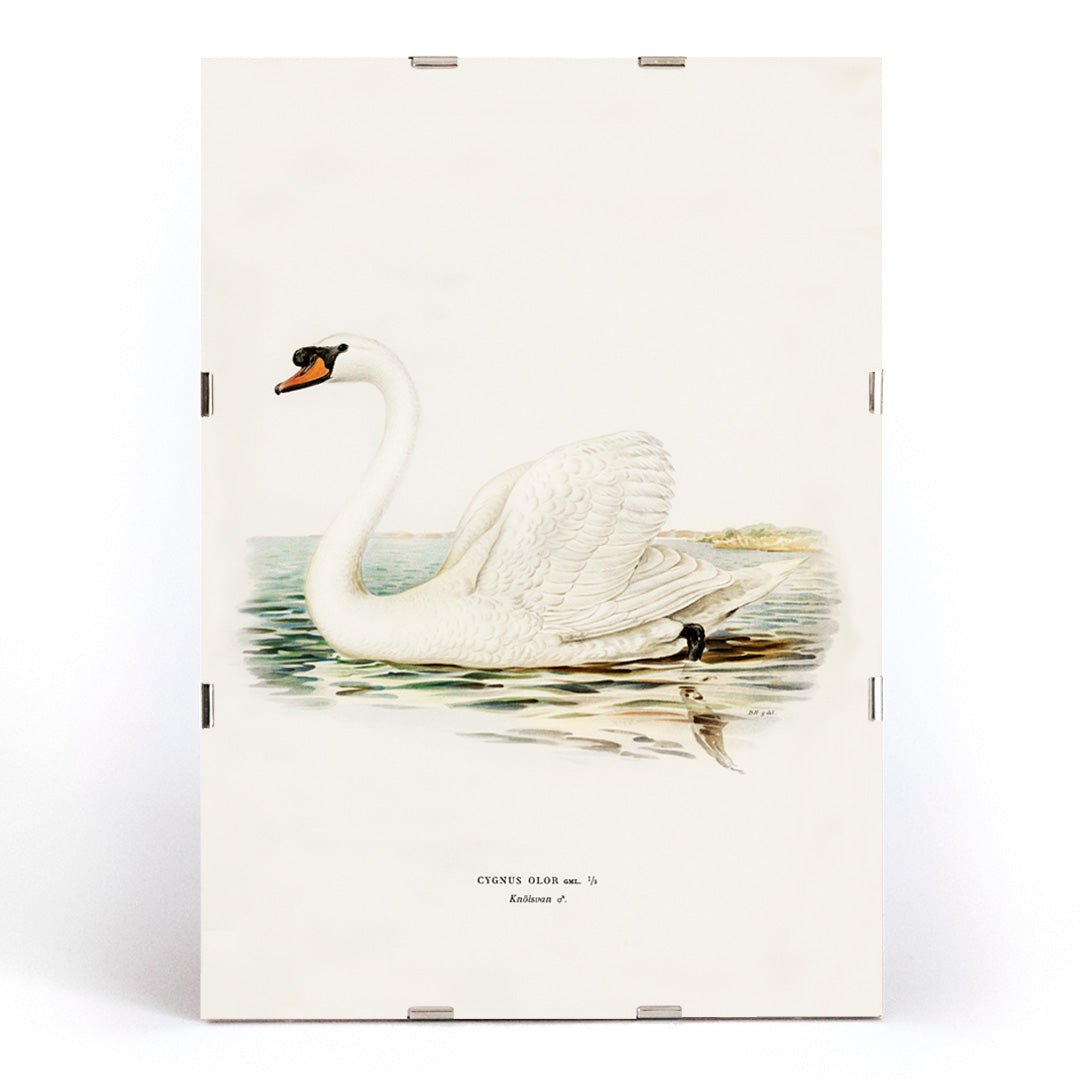 , framed and displayed in modern living room decor