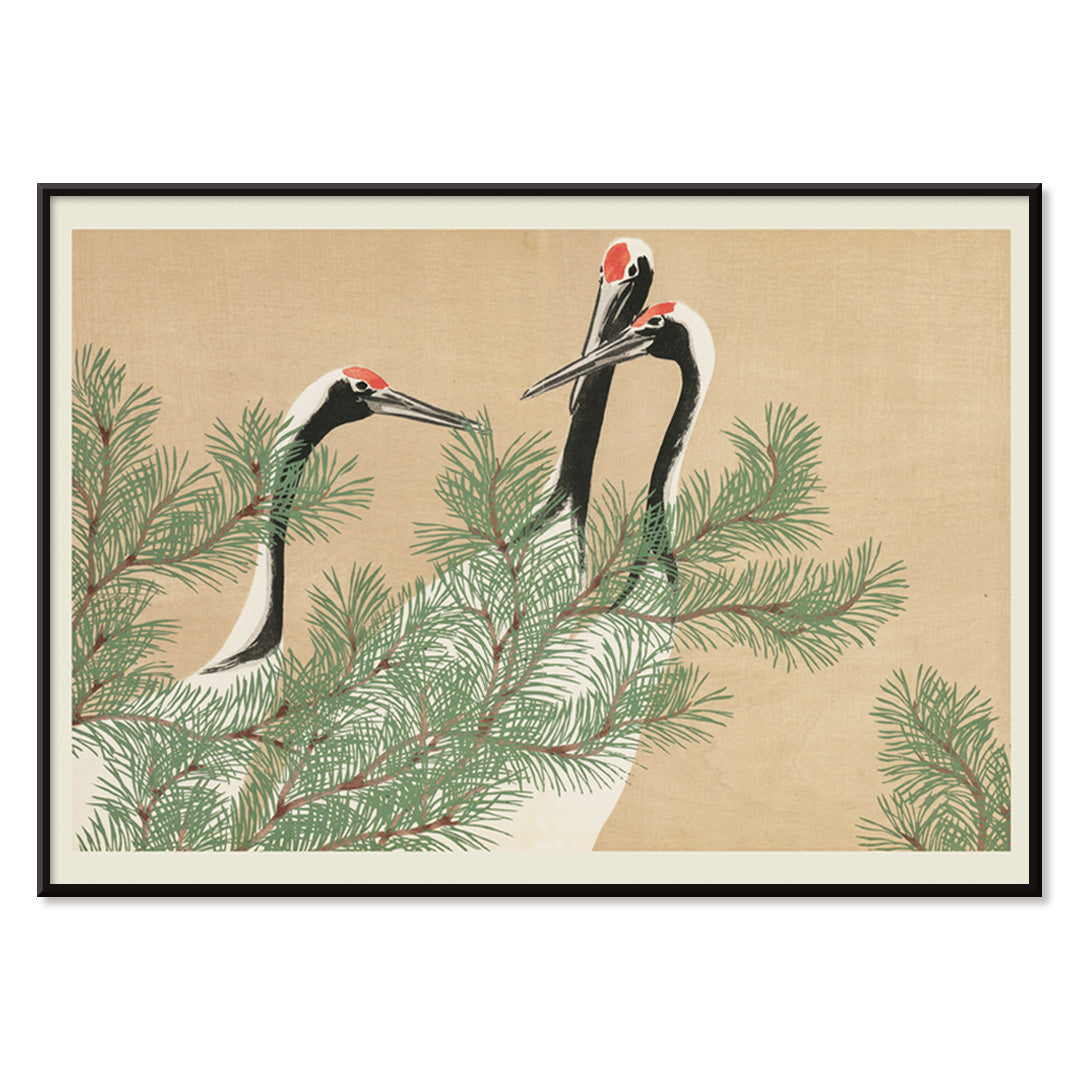 , with black aluminium frame on white background