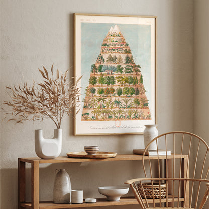 , framed and displayed in home decor