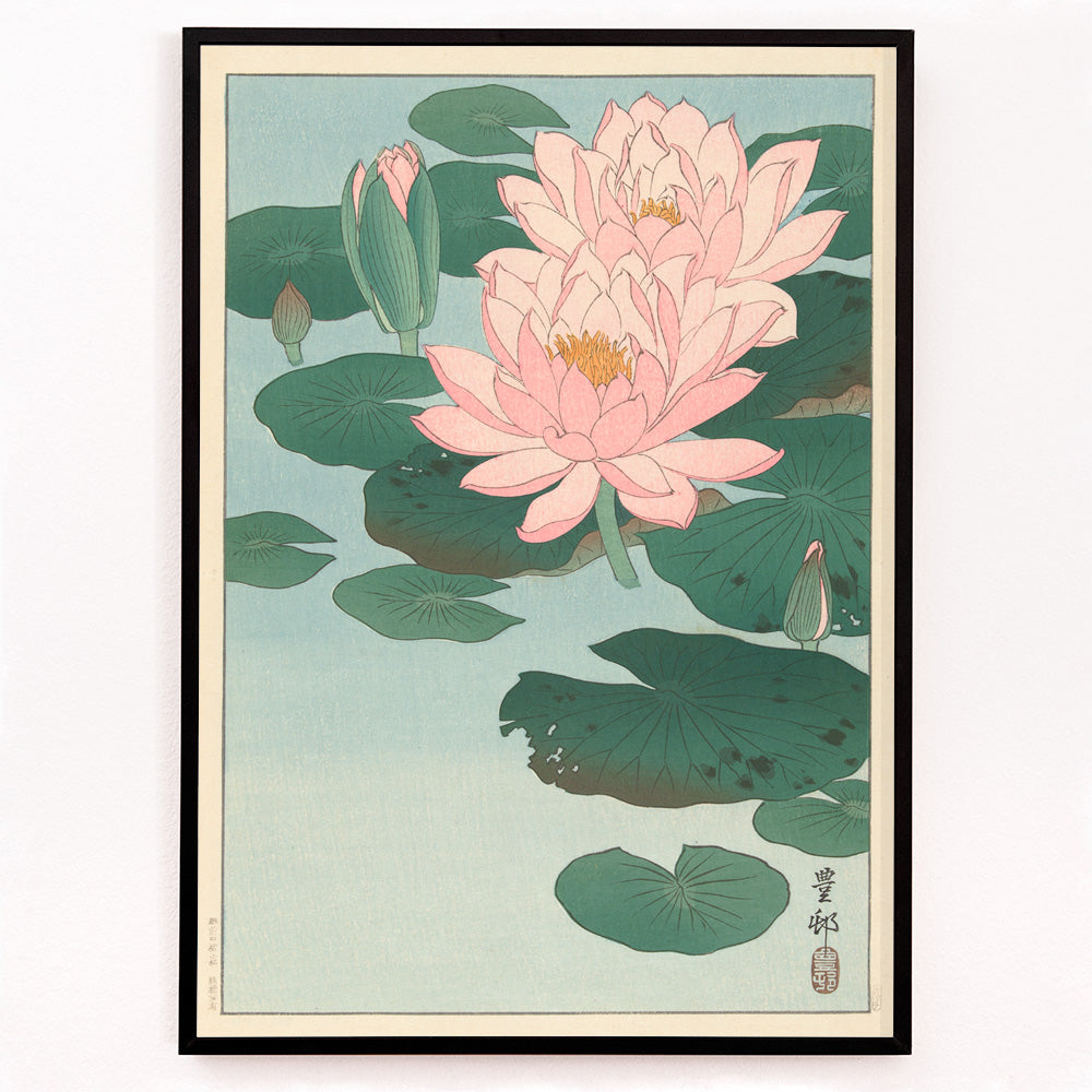 Closeup detail of Poster of pink water lilies and green lily pads on calm pond from Flowering Water Lily by Ohara Koson