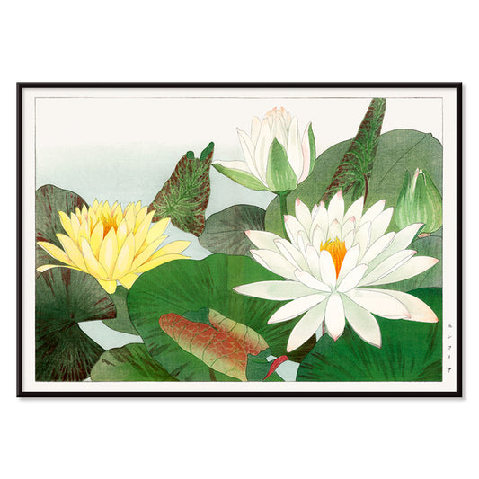 Illustration of yellow and white water lilies with lush green leaves from Nymphaea lotus by Tanigami Konan wall decor poster, with black aluminium frame on white background